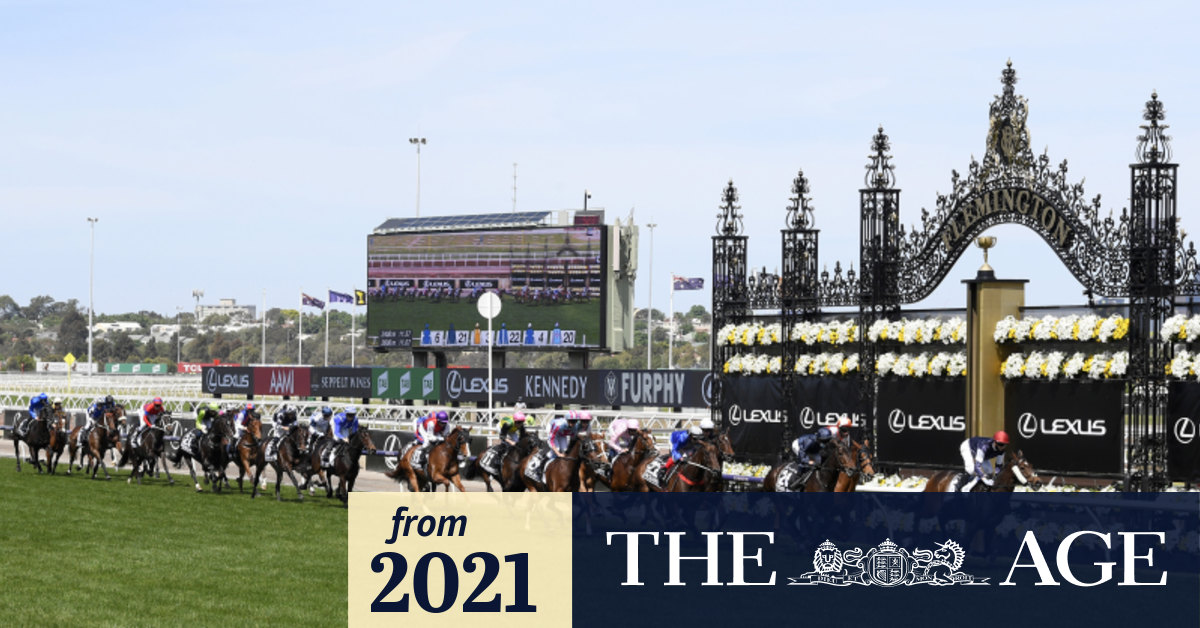 What is a handicap in horse racing and how does it work?